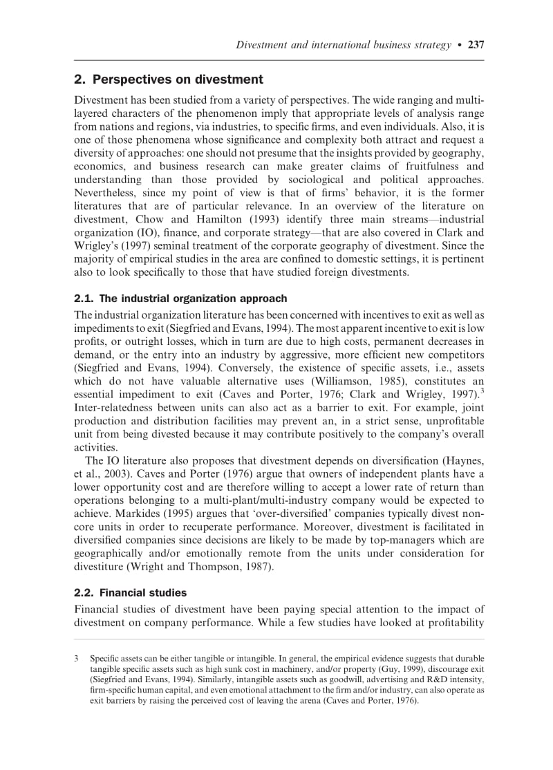 divestment and international business strategy.pdf_第3页