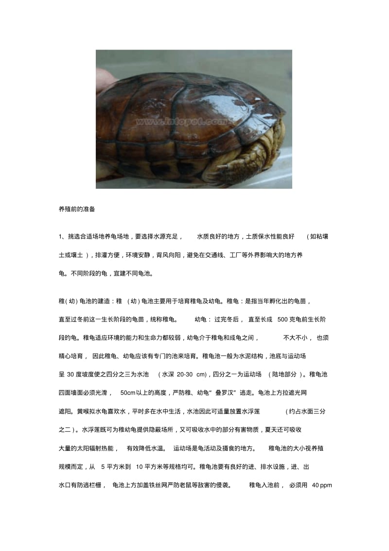 石金钱龟的人工养殖技术.pdf_第2页