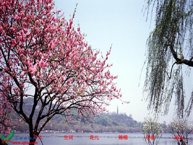 二年级语文下册我最喜欢春天课件北京版.pdf_第2页
