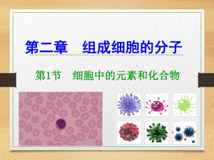 人教版高中生物必修一第二章《组成细胞的分子》PPT课件.pdf
