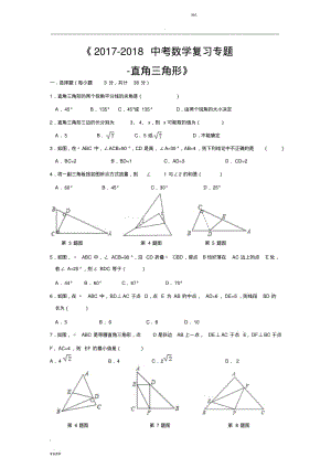 最新数学中考复习专题直角三角形.pdf