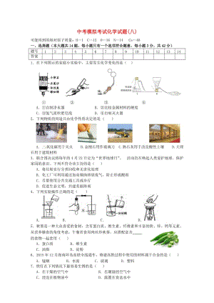 海南省中考化学模拟考试试题（八）（含答案）.doc