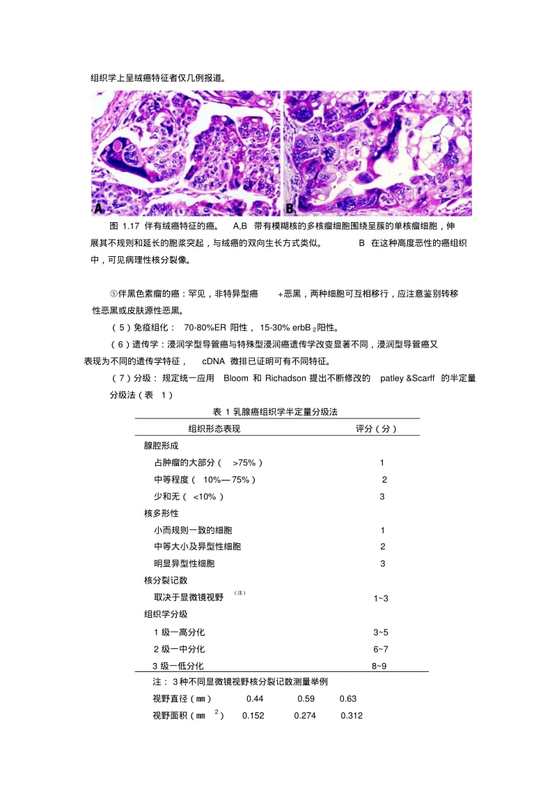 WHO乳腺肿瘤组织学分类-9月1日.pdf_第3页