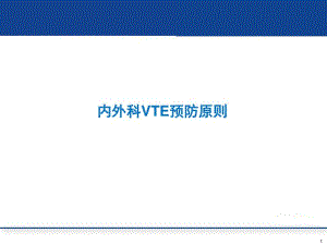 【优质文档】VTE内外科预防原则.pdf