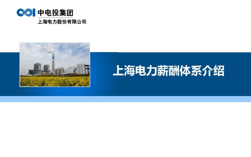【优质文档】上海电力薪酬体系介绍.pdf_第1页