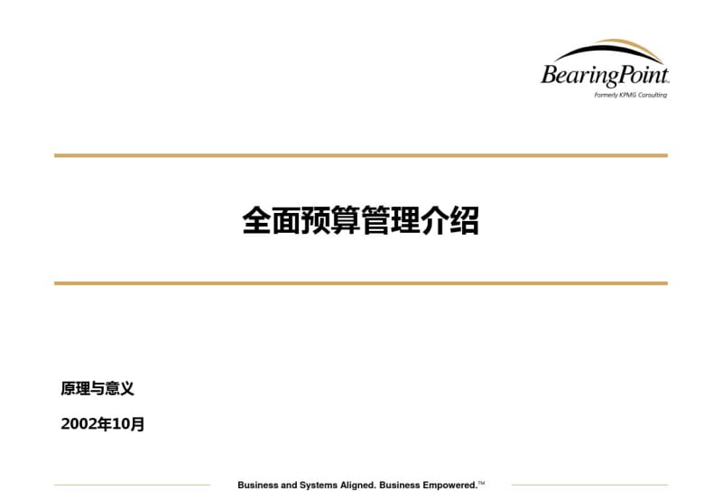毕马威-全面预算管理介绍.pdf_第1页