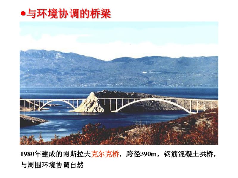 桥梁的总体规划设计荷载.pdf_第3页