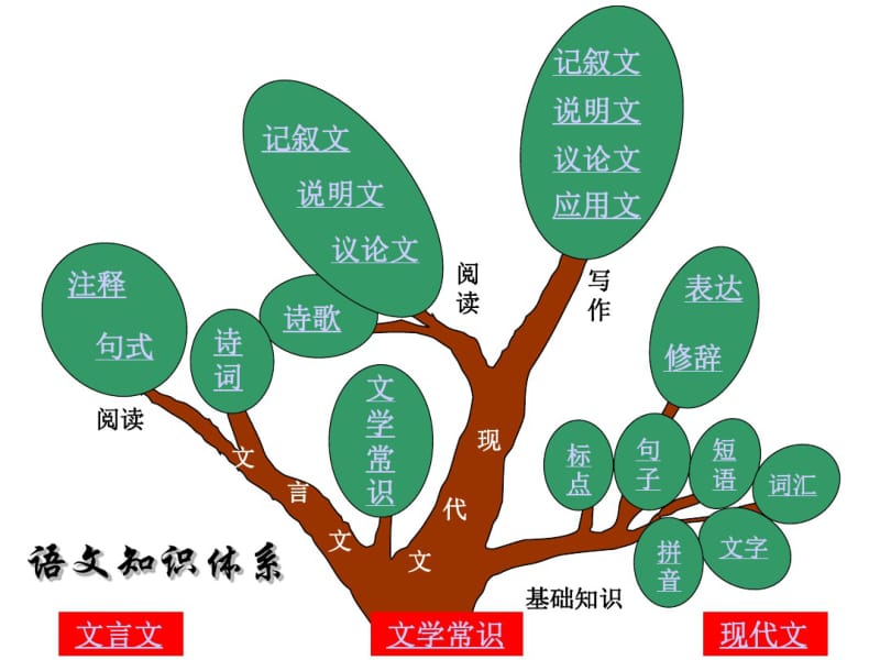 语文知识树(学习语文的基础知识).pdf_第3页