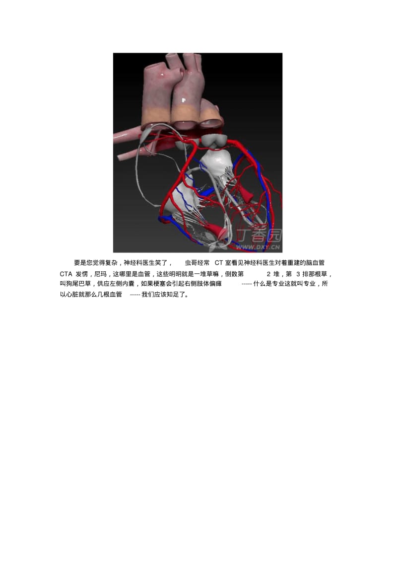 虫哥说图系列2----心脏的血管解剖动脉篇、静脉篇.pdf_第2页