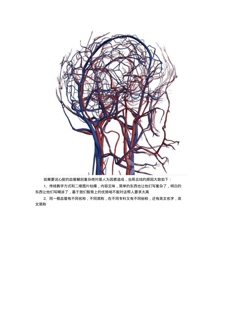 虫哥说图系列2----心脏的血管解剖动脉篇、静脉篇.pdf_第3页