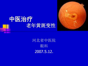 中医治疗_老年黄斑变性.pdf