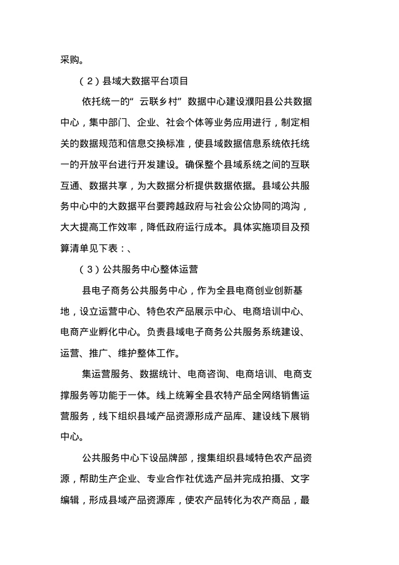 濮阳电商公共服务中心建设.pdf_第2页