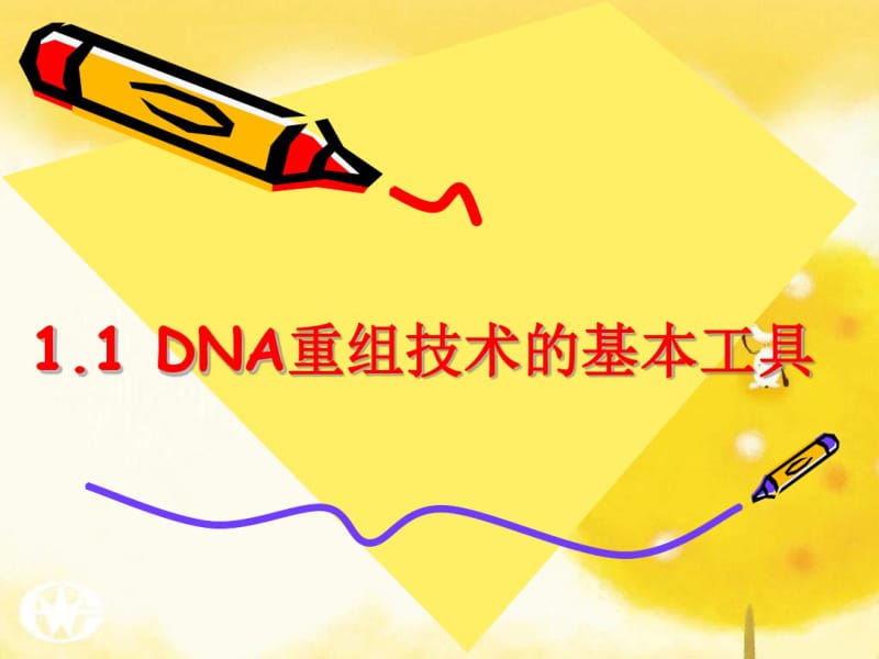 DNA重组技术的基本工具-课件.pdf_第1页