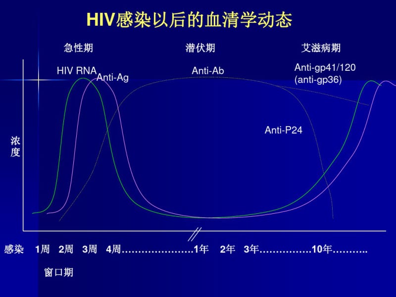 HIV检测技术课件.ppt.pdf_第3页