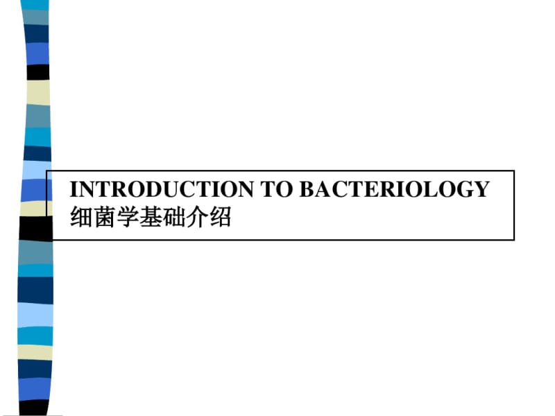 常见细菌分类..共43页.pdf_第1页