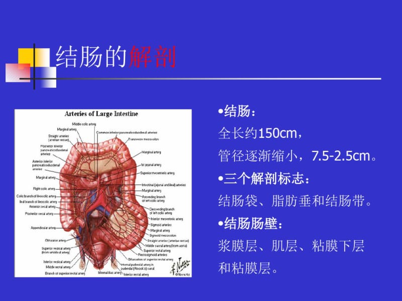结直肠肛管疾病杨传永.pdf_第2页