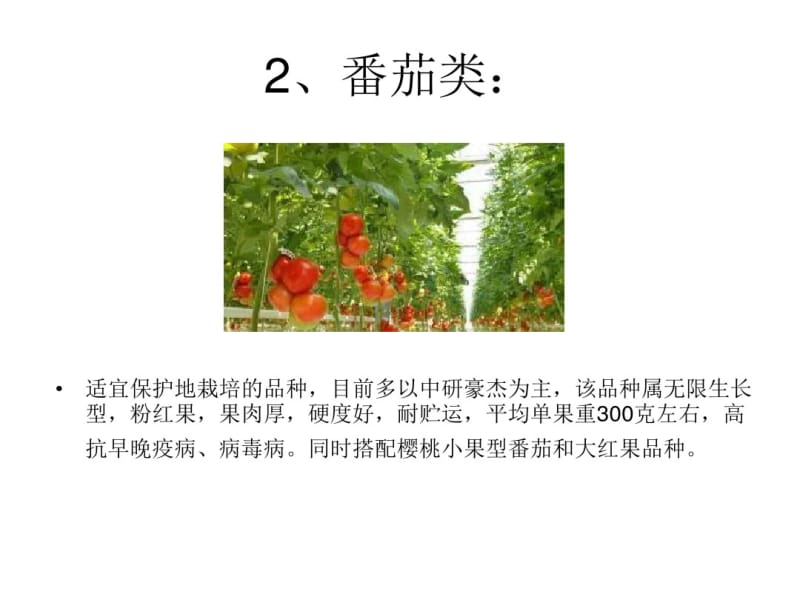 蔬菜种植栽培技术专题培训课件.pdf_第3页