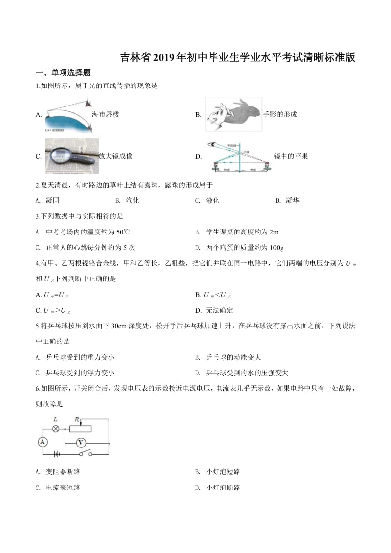 2019年吉林省吉林市中考物理试题（原卷）.pdf_第1页