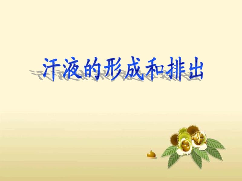 汗液的形成和排出l.pdf_第1页