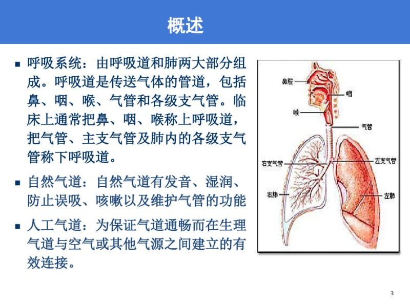 重症患者气道管理0.pdf_第3页
