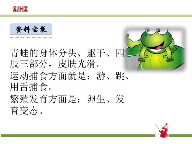 3.小青蛙.pdf_第3页