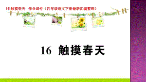 16触摸春天作业课件(四年级语文下册最新汇编整理).pdf