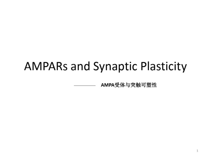 AMPA受体与突触可塑性课件.pdf_第1页