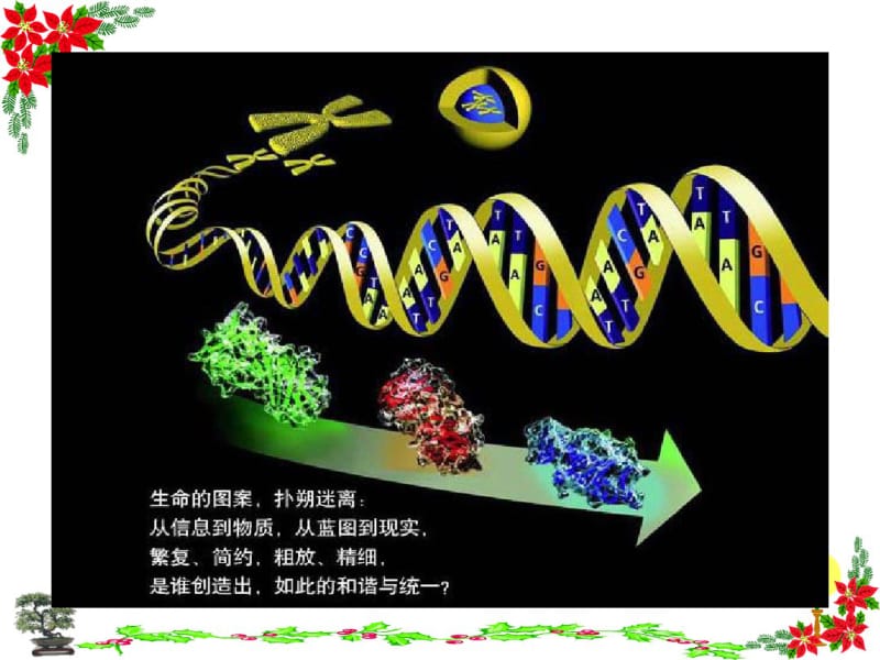 (完整版)基因指导蛋白质的合成PPT.pdf_第3页
