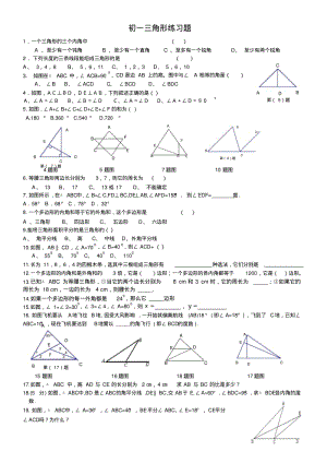 初一数学三角形练习题(有答案).pdf