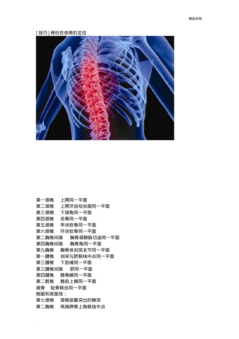 脊柱在体表的定位.pdf_第1页