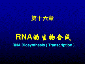 生物化学RNA的生物合成.pdf
