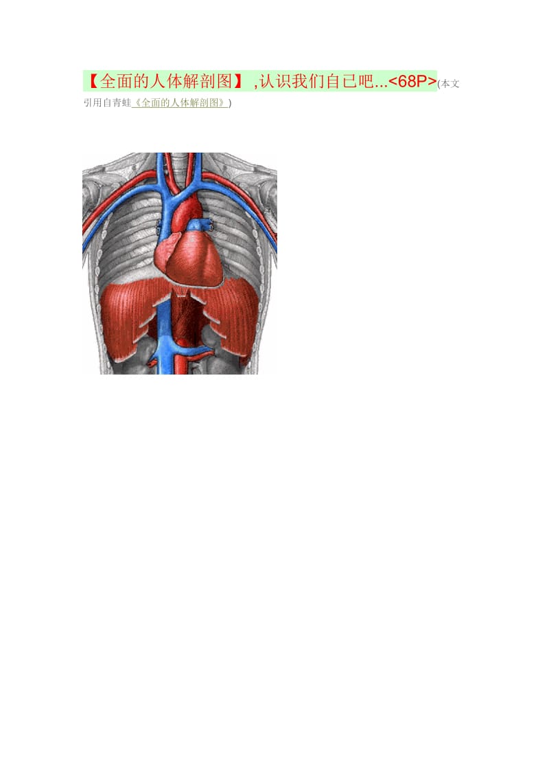 全面的人体解剖图.doc_第1页