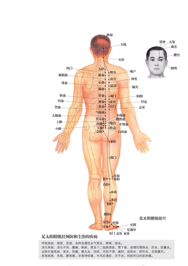 男性人体穴位图：十四经穴高清图解.doc_第2页