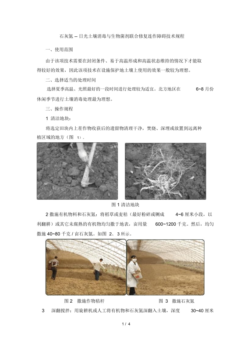 石灰氮日光土壤消毒与生物菌剂联合修复连作障碍技术....docx_第1页