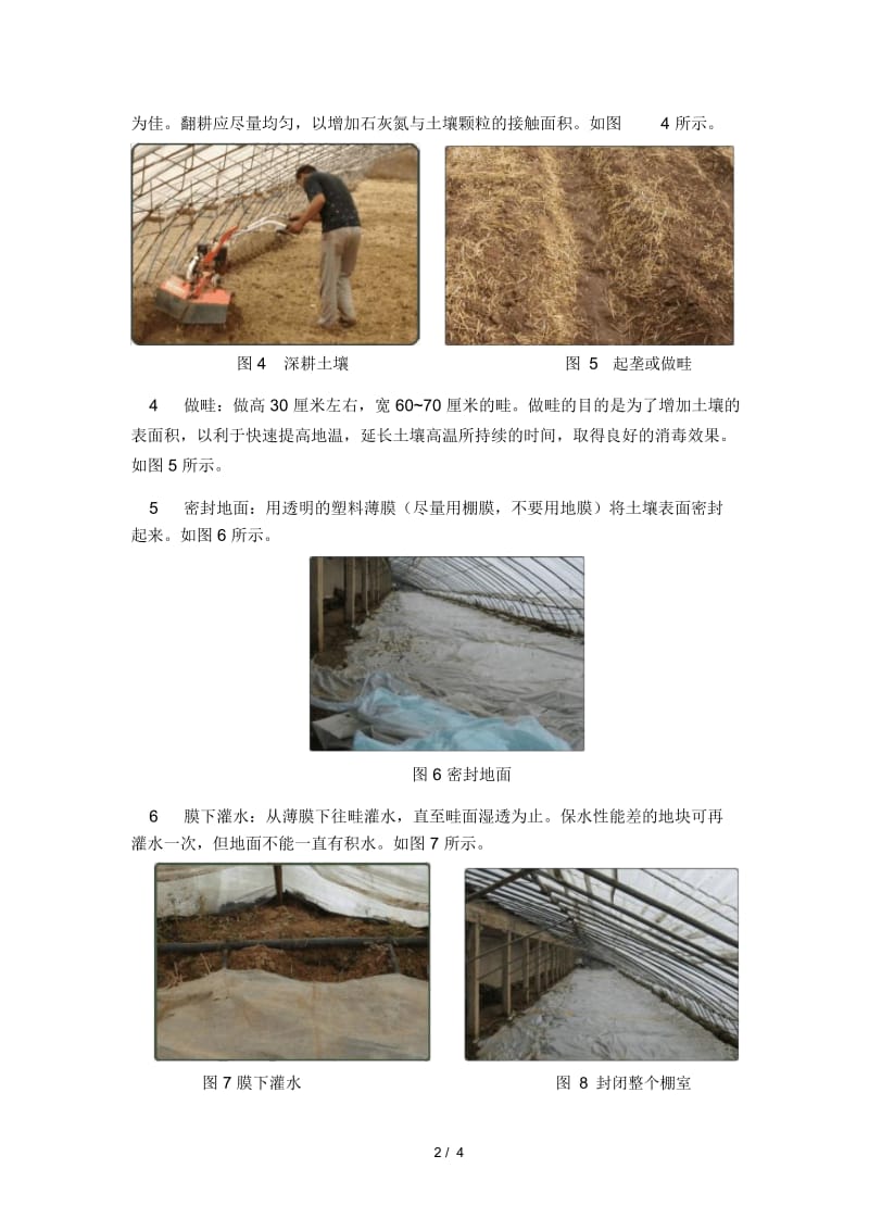 石灰氮日光土壤消毒与生物菌剂联合修复连作障碍技术....docx_第2页