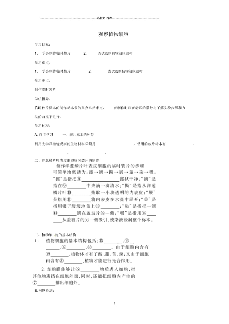 湖南省郴州市第八中学初中七年级生物上册2.1.2观察植物细胞名师精编导学案(无答案)新人教版.docx_第1页