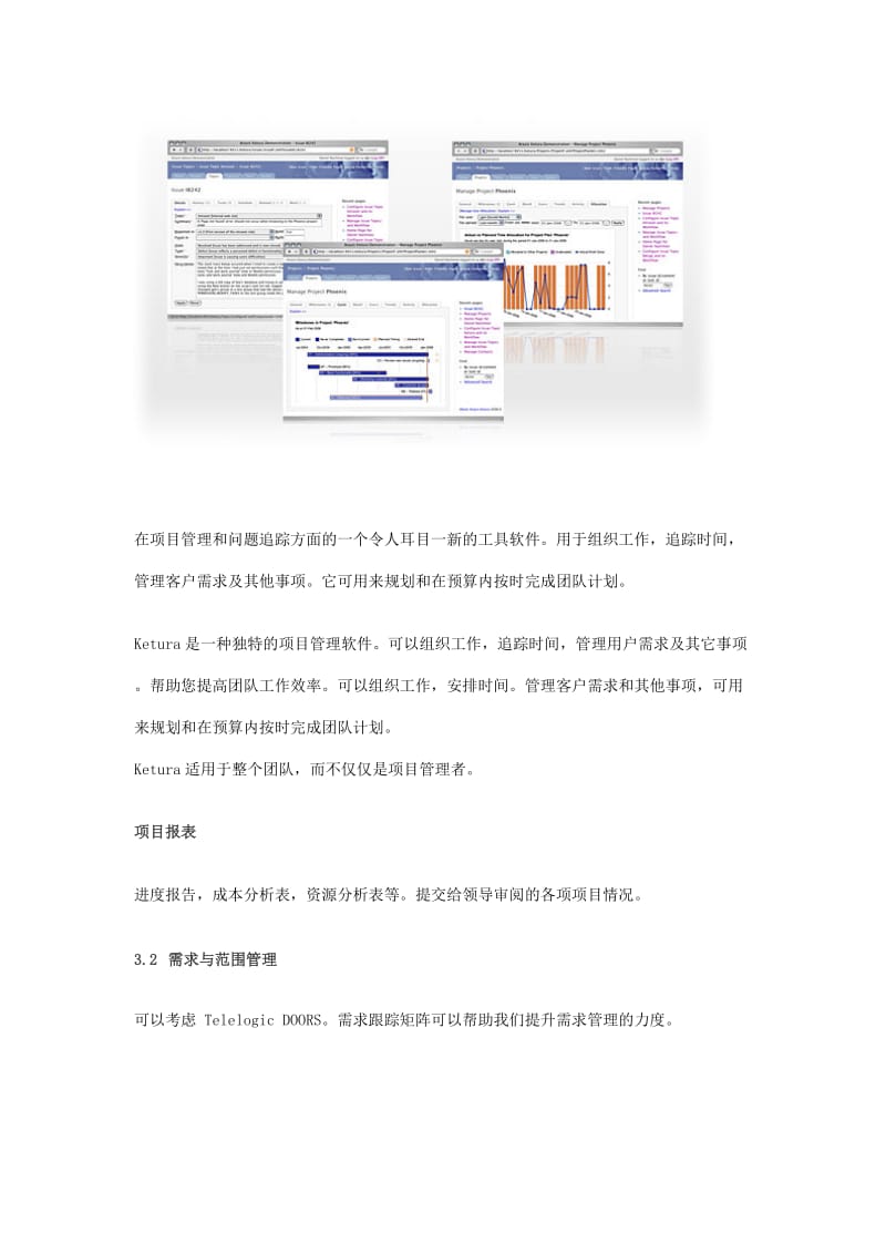 项目管理工具.doc_第3页