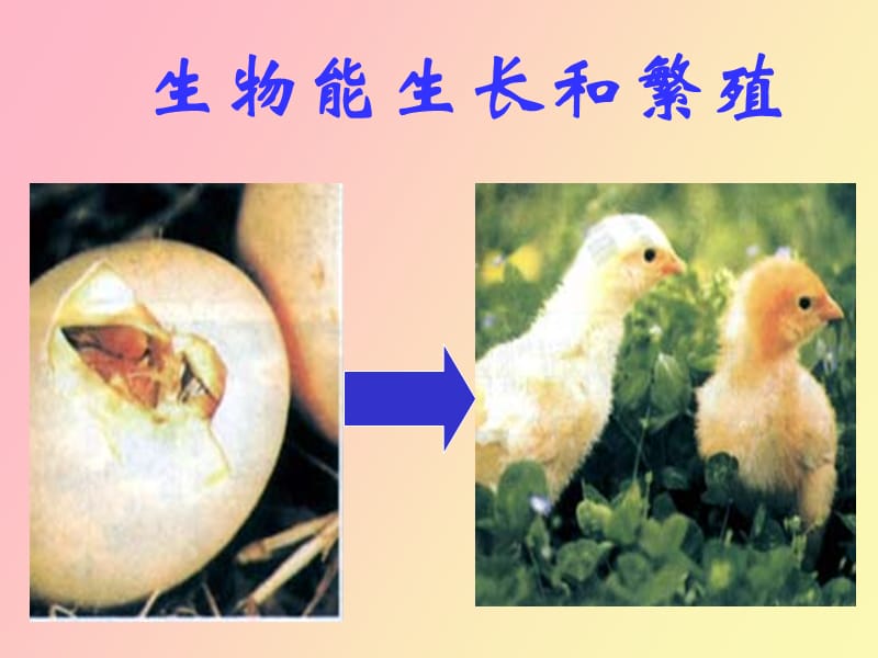 生物与生物圈.ppt_第2页