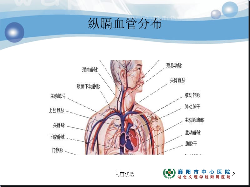 肺癌纵膈肺门淋巴结分区及CT图像【严选内容】.ppt_第2页