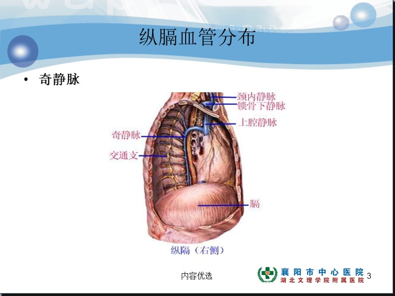 肺癌纵膈肺门淋巴结分区及CT图像【严选内容】.ppt_第3页