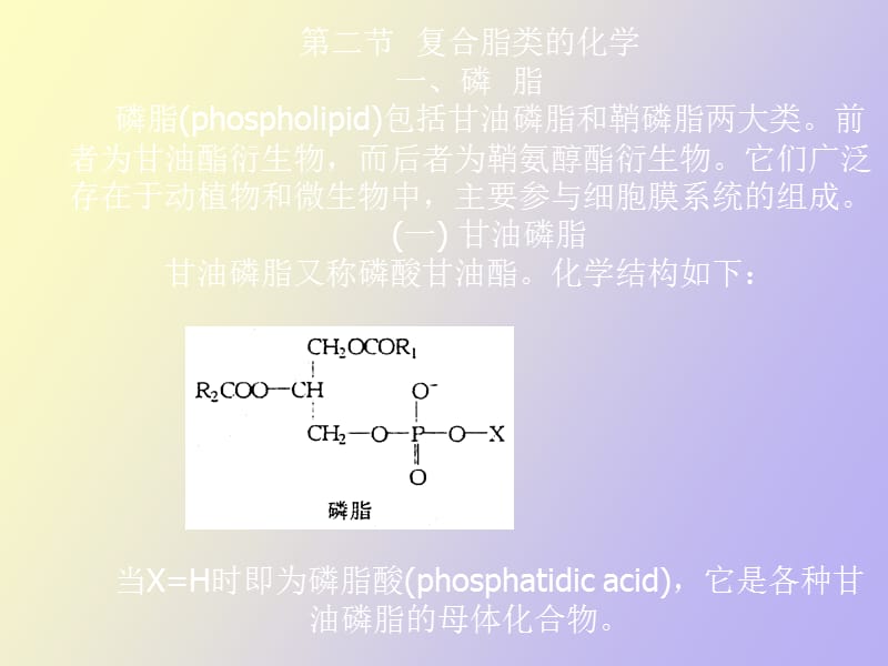 生物化学第二章脂类化学.ppt_第3页