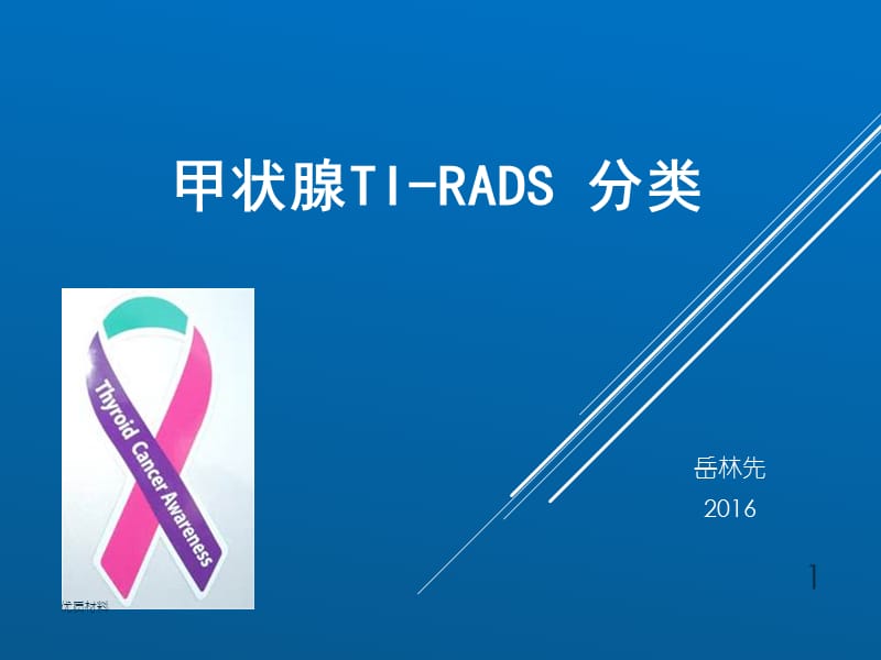 甲状腺TI-RADS分类【优质借鉴】.ppt_第1页