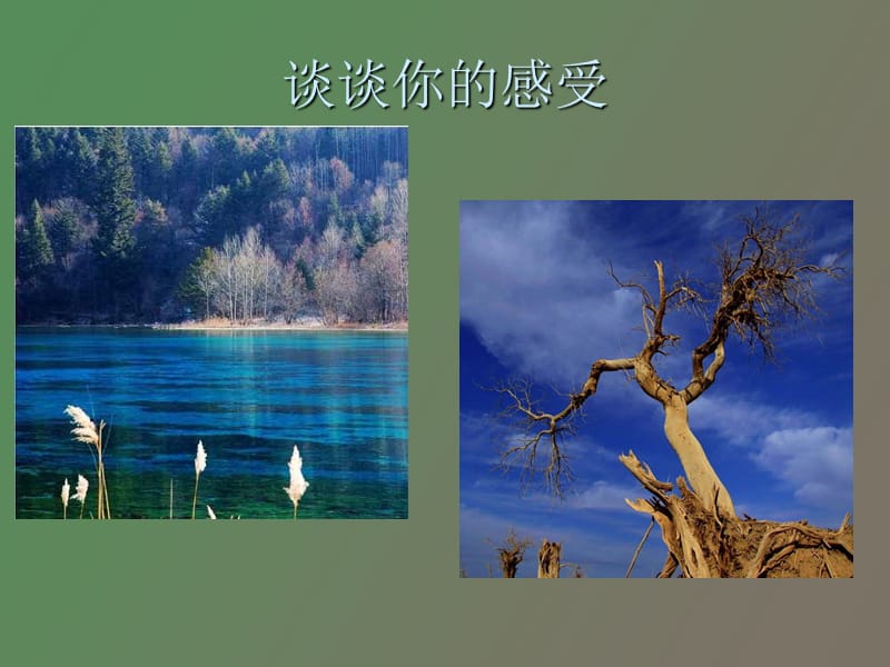 长江两岸是家乡之家乡的水.ppt_第2页
