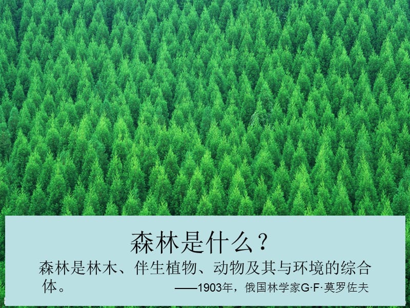 森林防火ppt.ppt_第2页