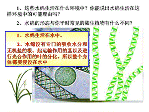 藻类植物、蕨类植物、苔藓植物的区别包括种子植物.ppt