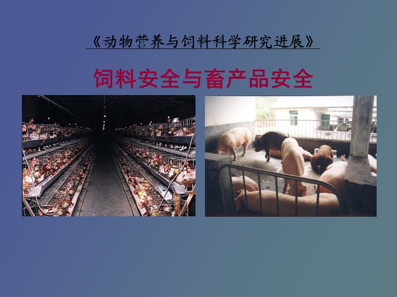 饲料安全与畜产品安全.ppt_第1页