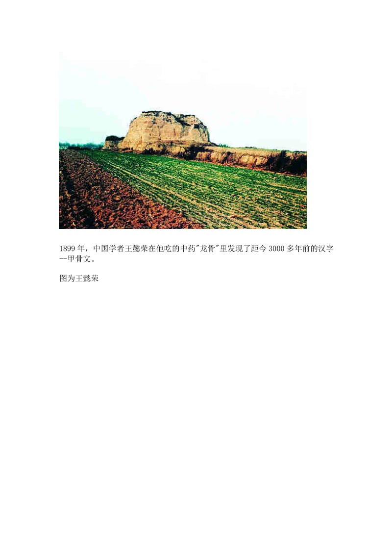 图说汉字的演化论汉字起源于占卜（《连山易》、《归藏易》失传千年重见天日）.doc_第2页