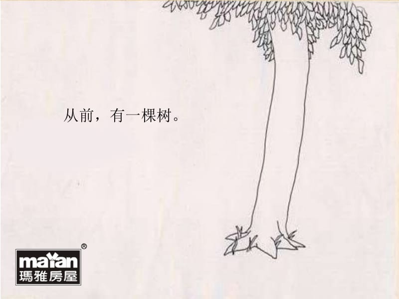 大树和男孩的故事——爱之极致.pptx_第2页