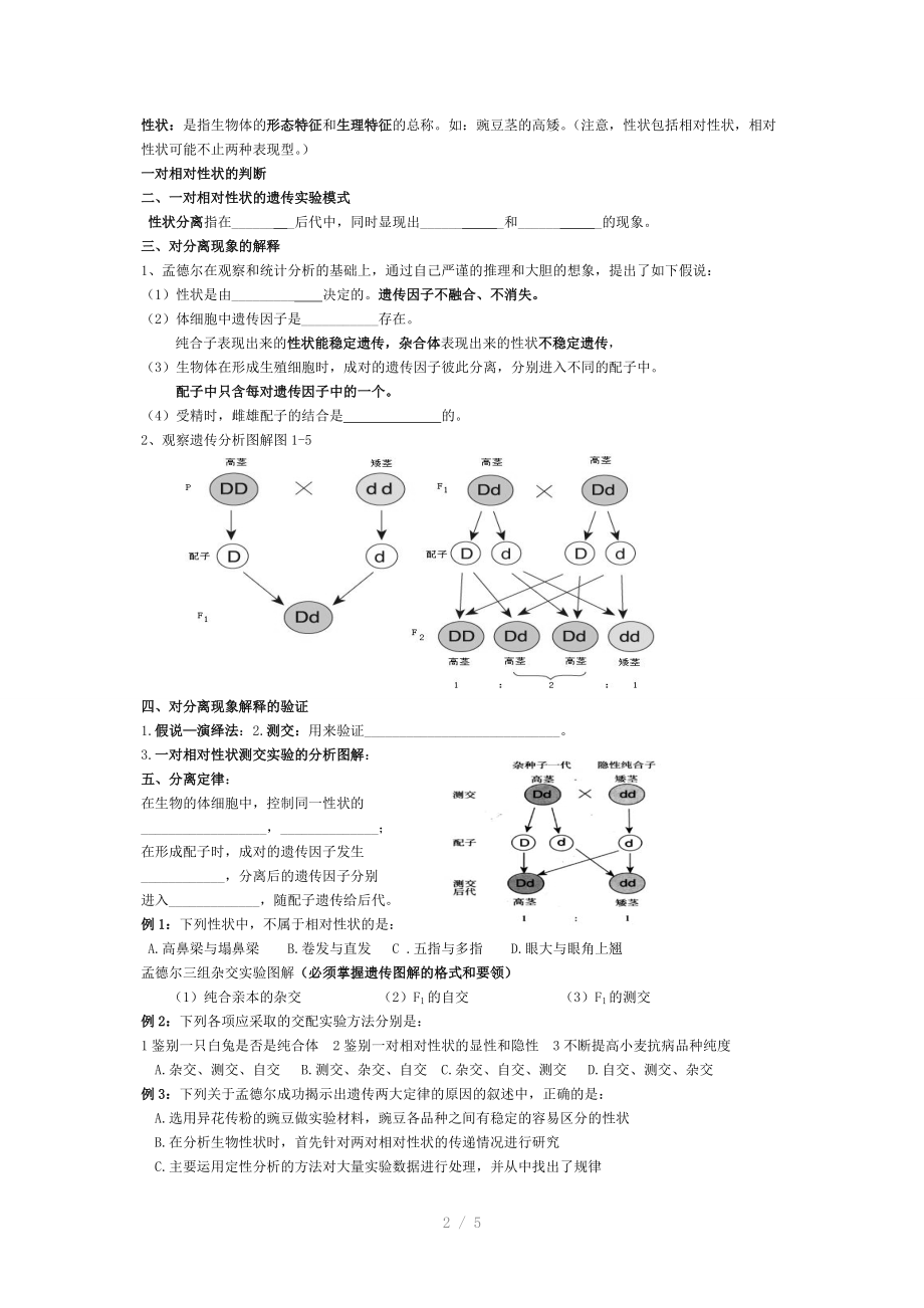 2014届高三理综生物教学案018基因分离Word版.doc_第2页