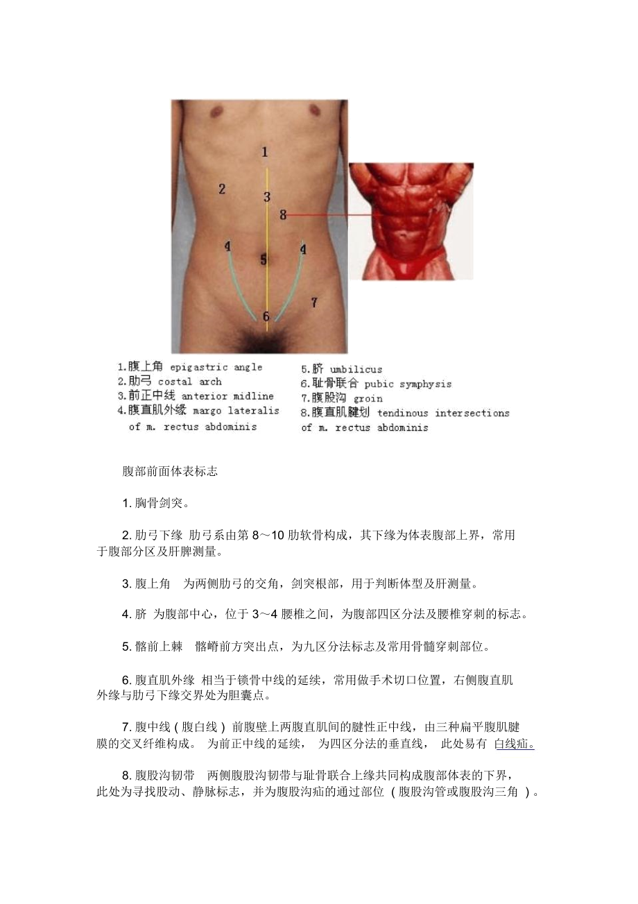 医学好东西腹部检查(一)—腹部体表标志及分区.docx_第2页